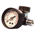 Protectionpro Air Regulator With Gauge PR96069